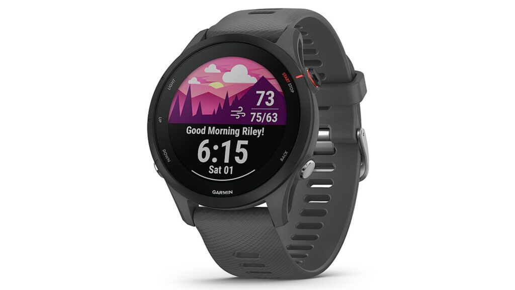 Slash $100 off this Garmin Forerunner 255 as it plummets to lowest price ever