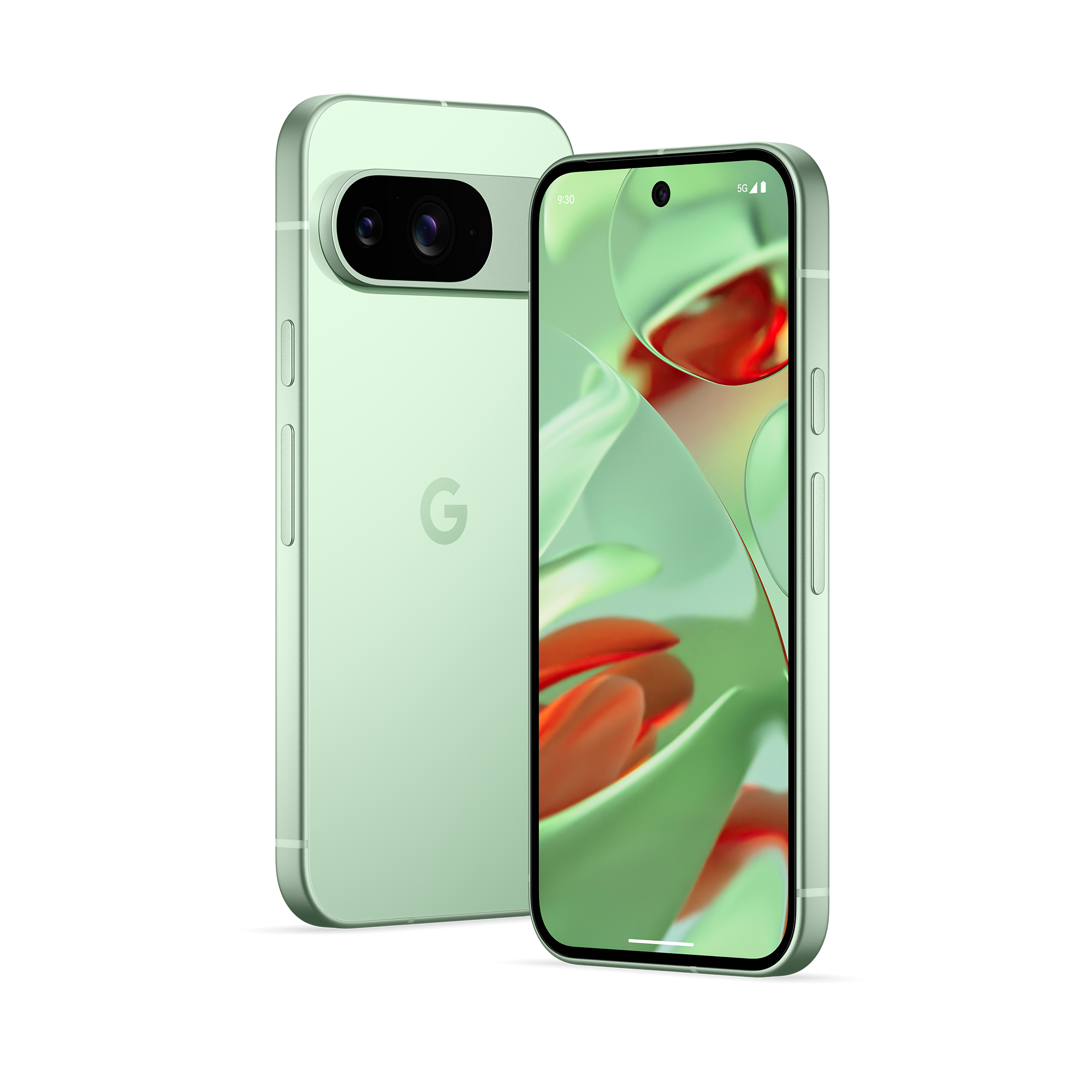 Google Pixel 9 show evaluate: Non-artificial brilliance
