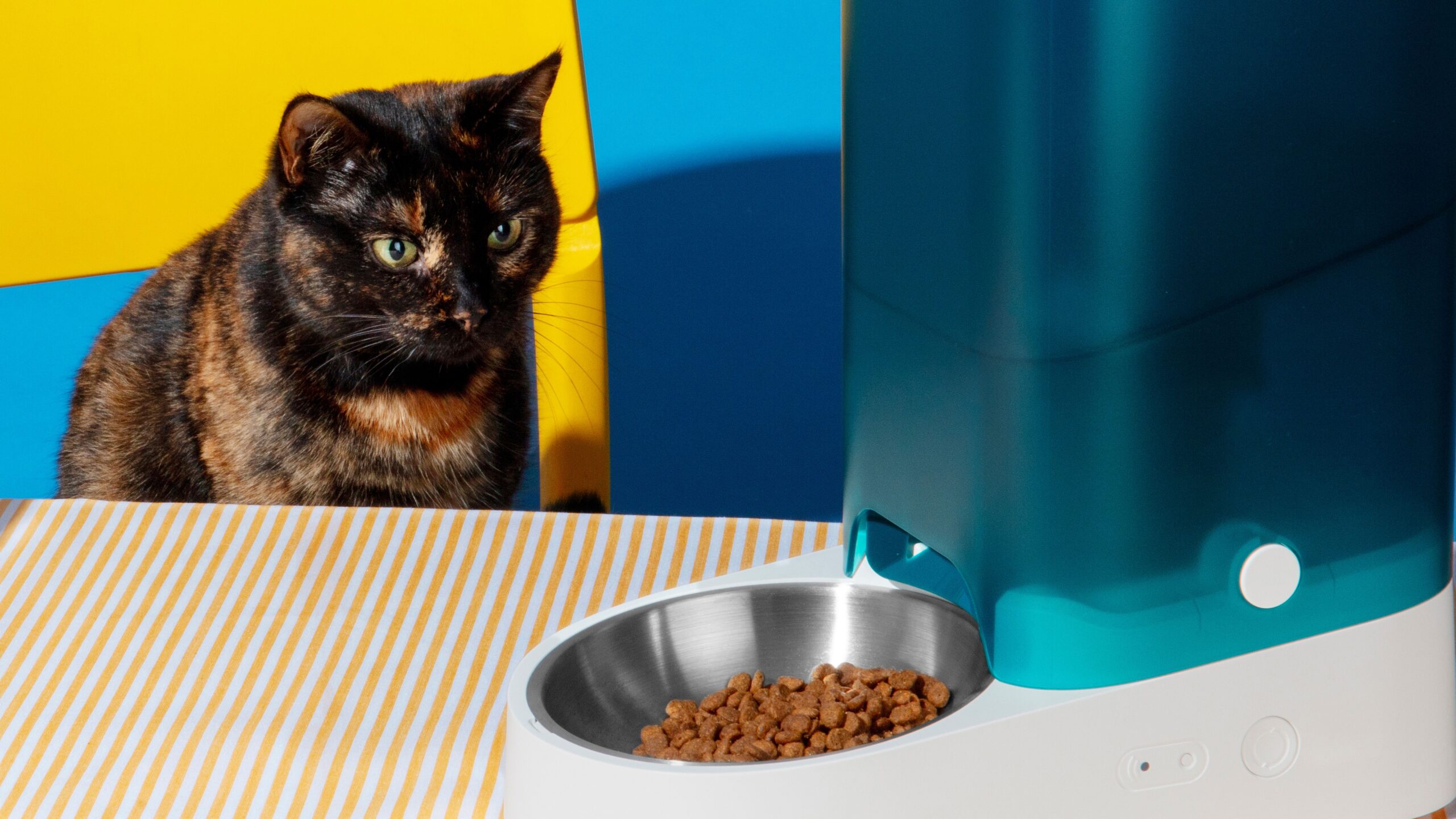 8 good residence devices each pet proprietor wants