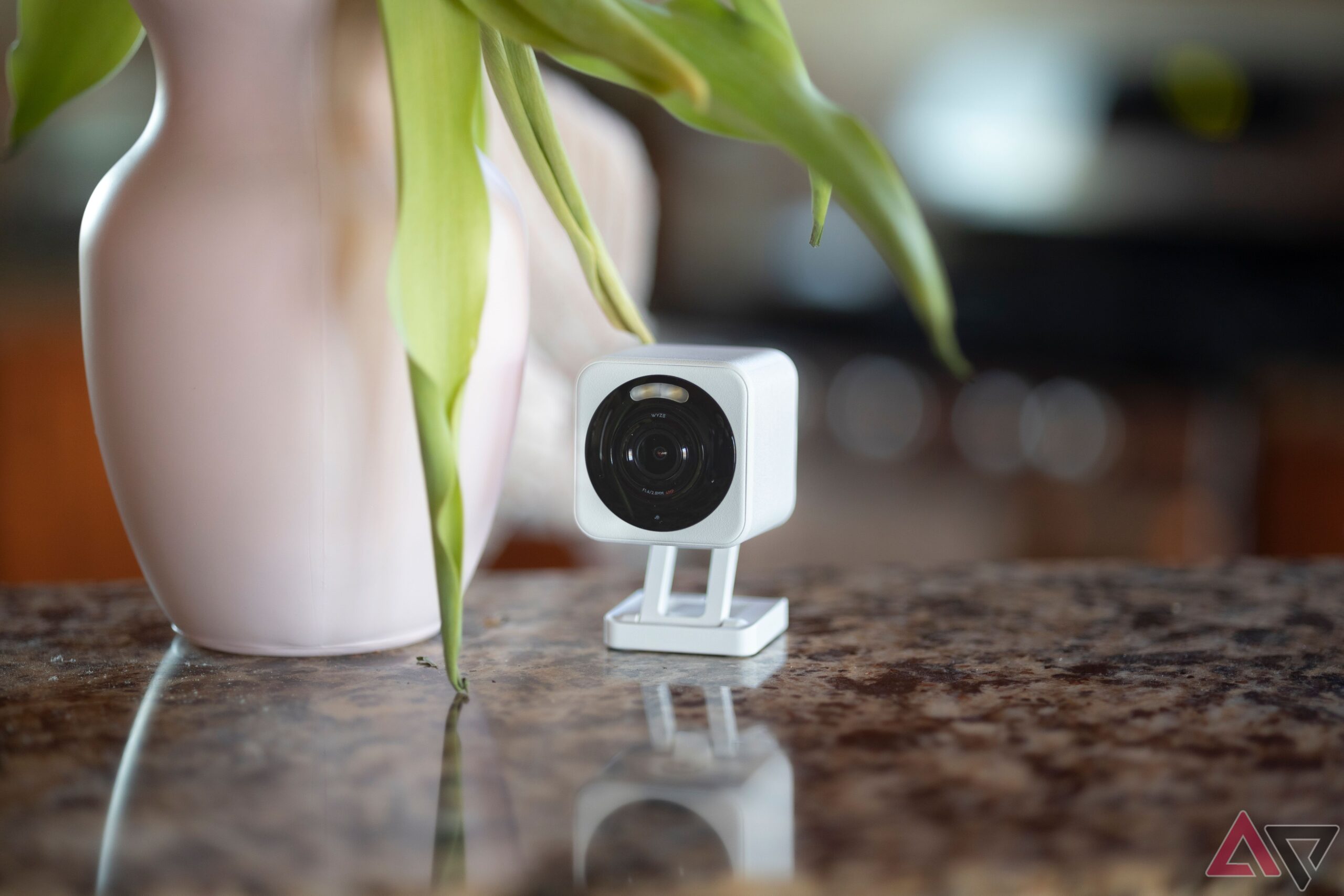 Wyze safety cameras now leverage AI to battle notification fatigue